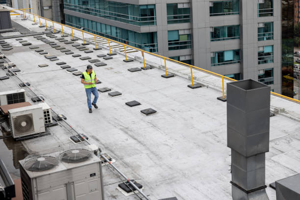 Best Roof Moss and Algae Removal  in Beaumont, CA